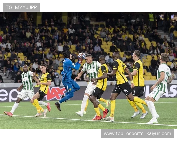 切尔西胜多特蒙德：晋级希望渺茫，切尔西胜率